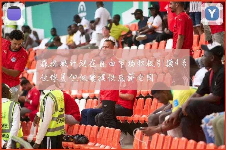 森林狼计划在自由市场积极引援4号位球员但仅能提供底薪合同